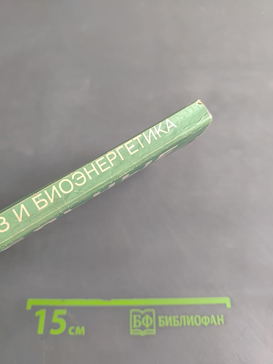 Целительные силы. Том 2. Биосинтез и биоэнергетика
