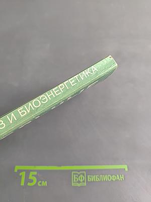 Целительные силы. Том 2. Биосинтез и биоэнергетика