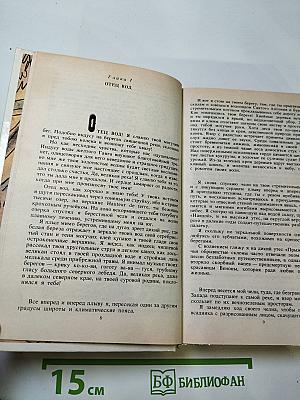 Квартеронка. Морской волчонок