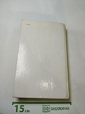 Квартеронка. Морской волчонок