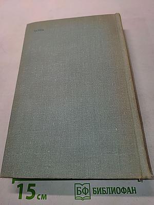 А было так в чужом доме. Неоконченная книга