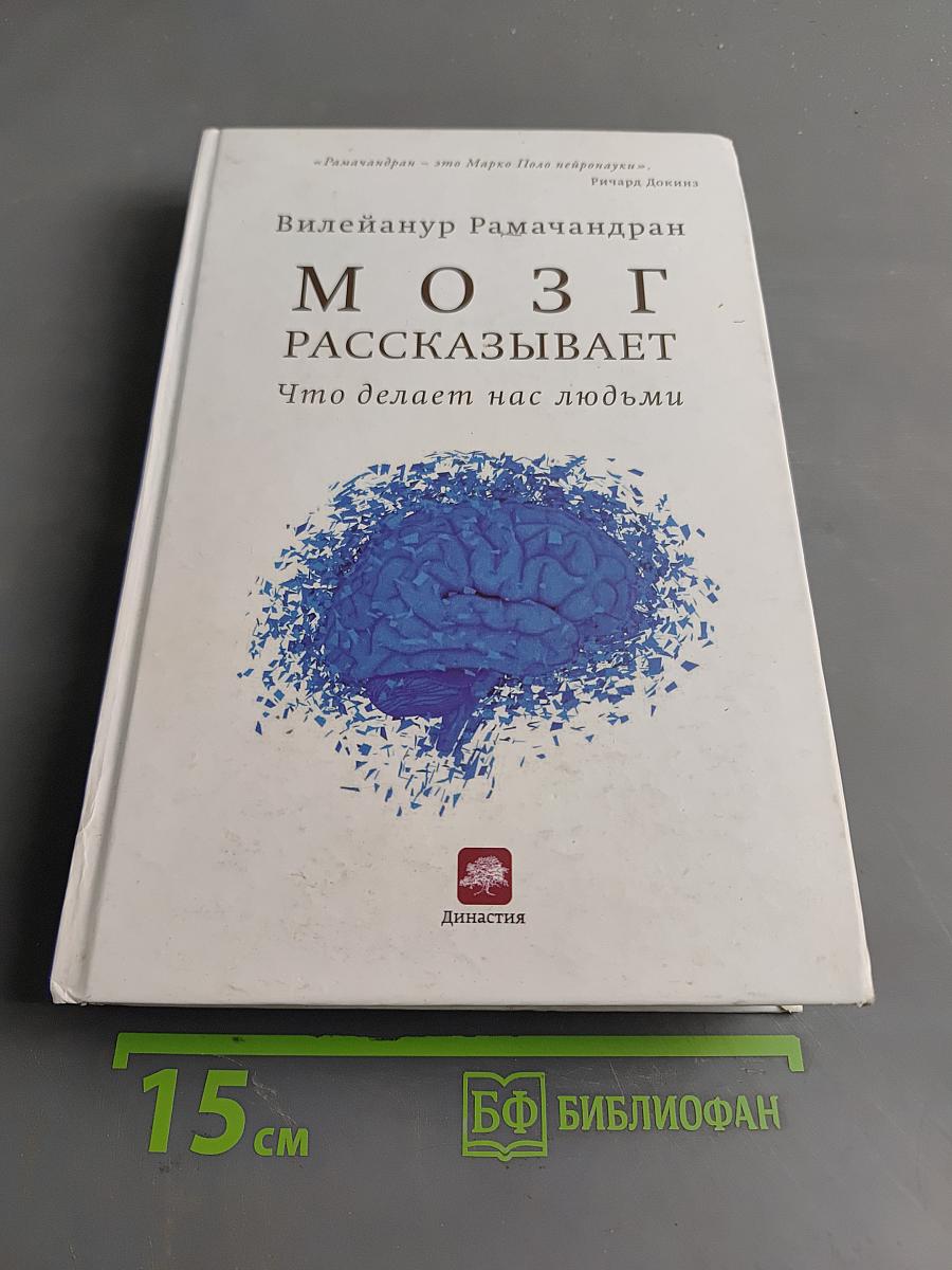 Мозг рассказывает. Что делает нас людьми
