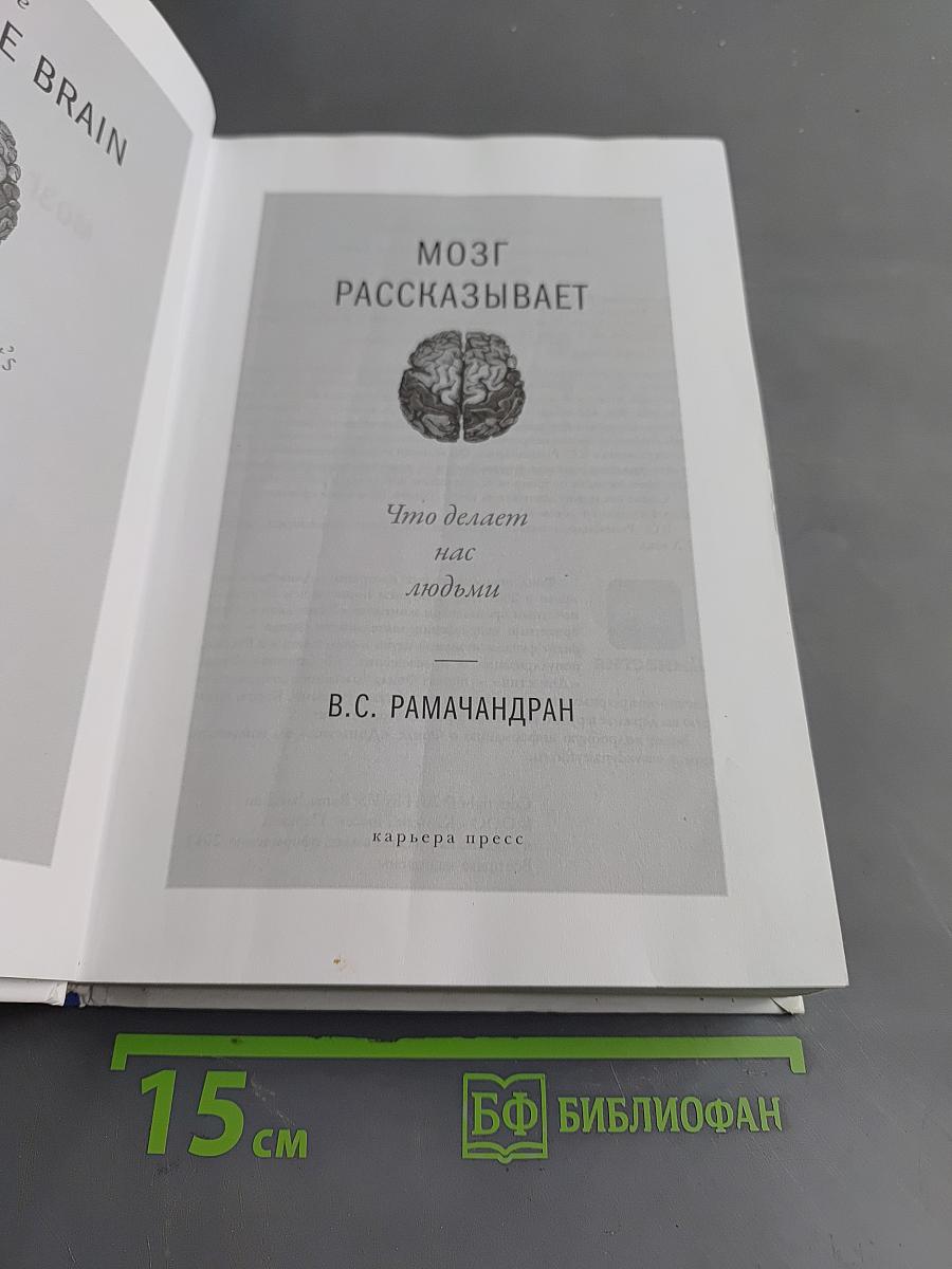 Мозг рассказывает. Что делает нас людьми
