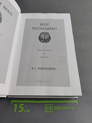 Мозг рассказывает. Что делает нас людьми