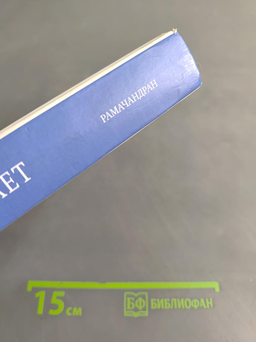 Мозг рассказывает. Что делает нас людьми