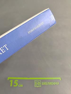 Мозг рассказывает. Что делает нас людьми