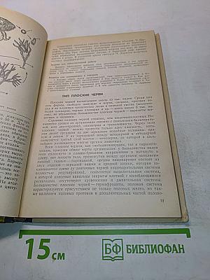 Зоология с основами экологии