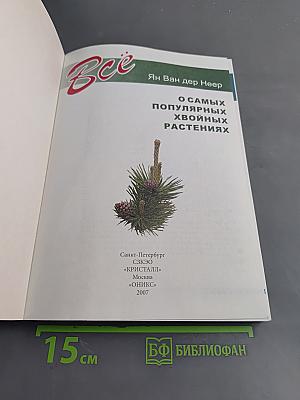 Все о самых популярных хвойных растениях