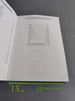 Все о самых популярных хвойных растениях