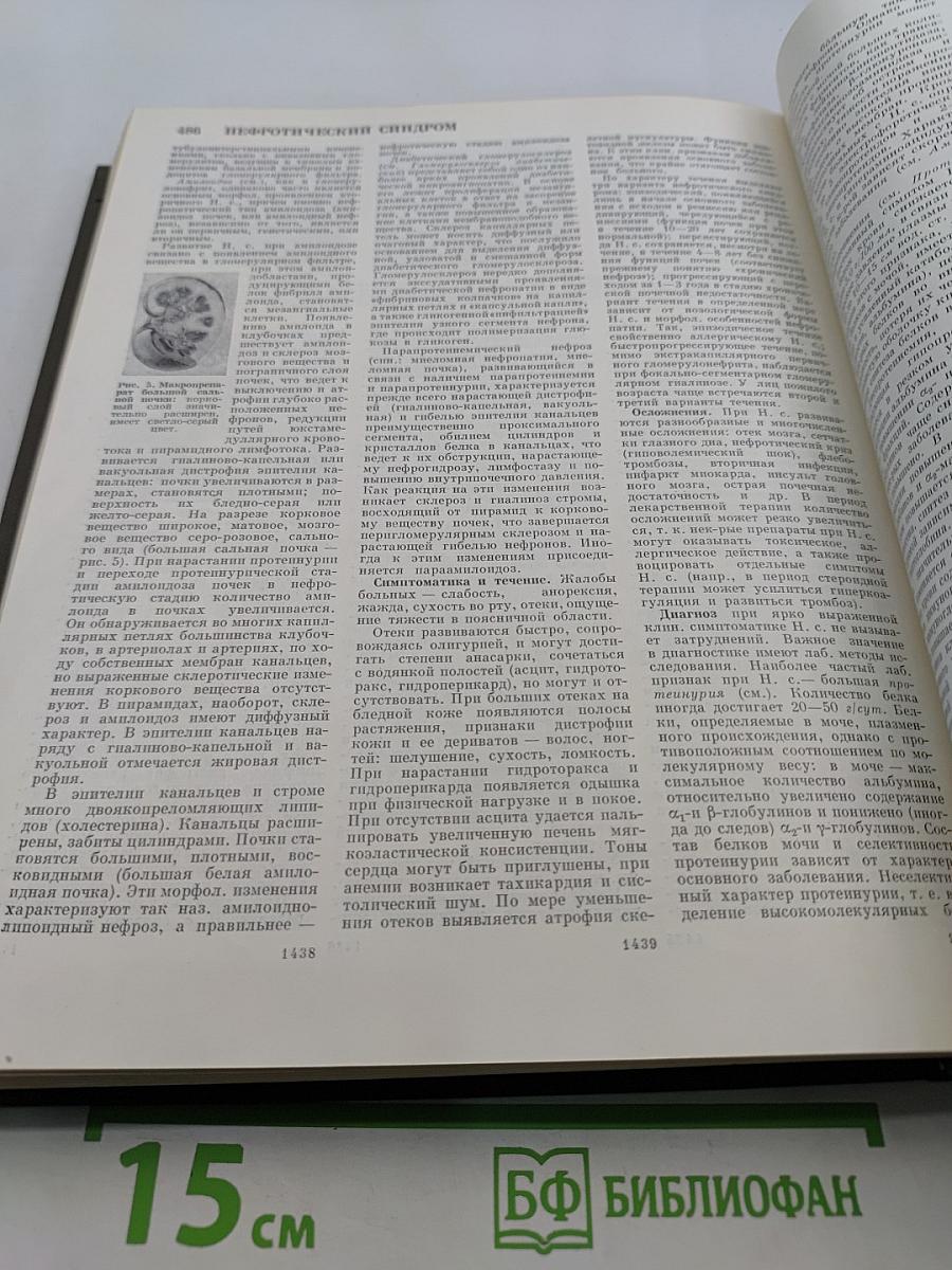Большая медицинская энциклопедия. Том 16. Музеи – Нил