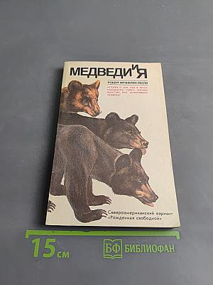 Медведи