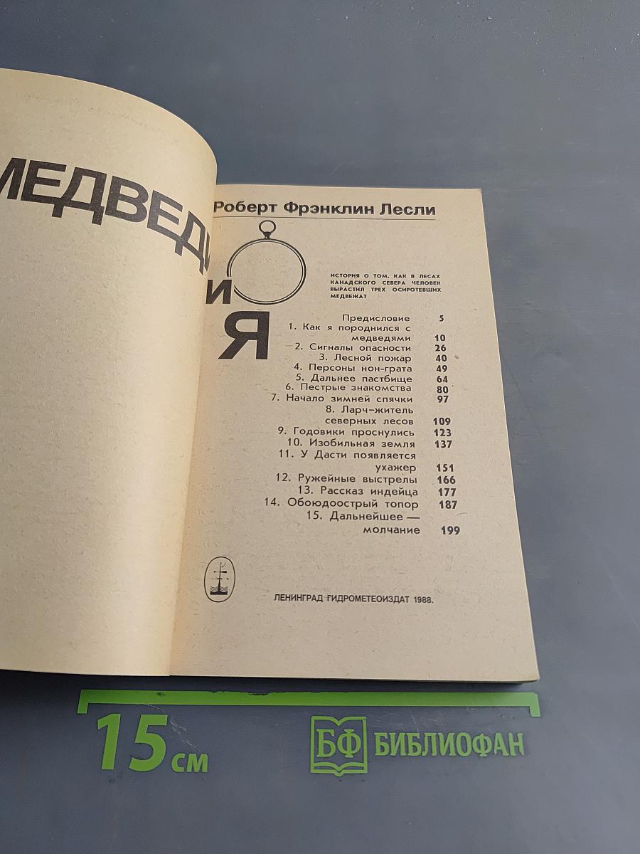 Медведи