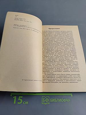 Медведи