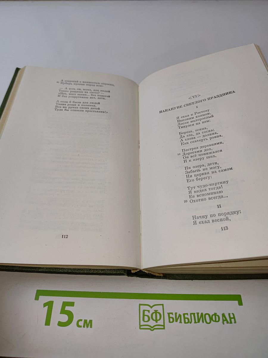 Стихотворения. 1866–1877 гг. Том 3
