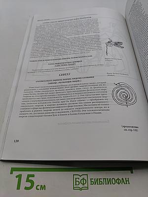 Египетская йога. Философия просветления