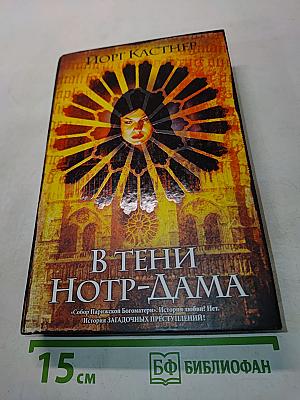 В тени Нотр-Дама