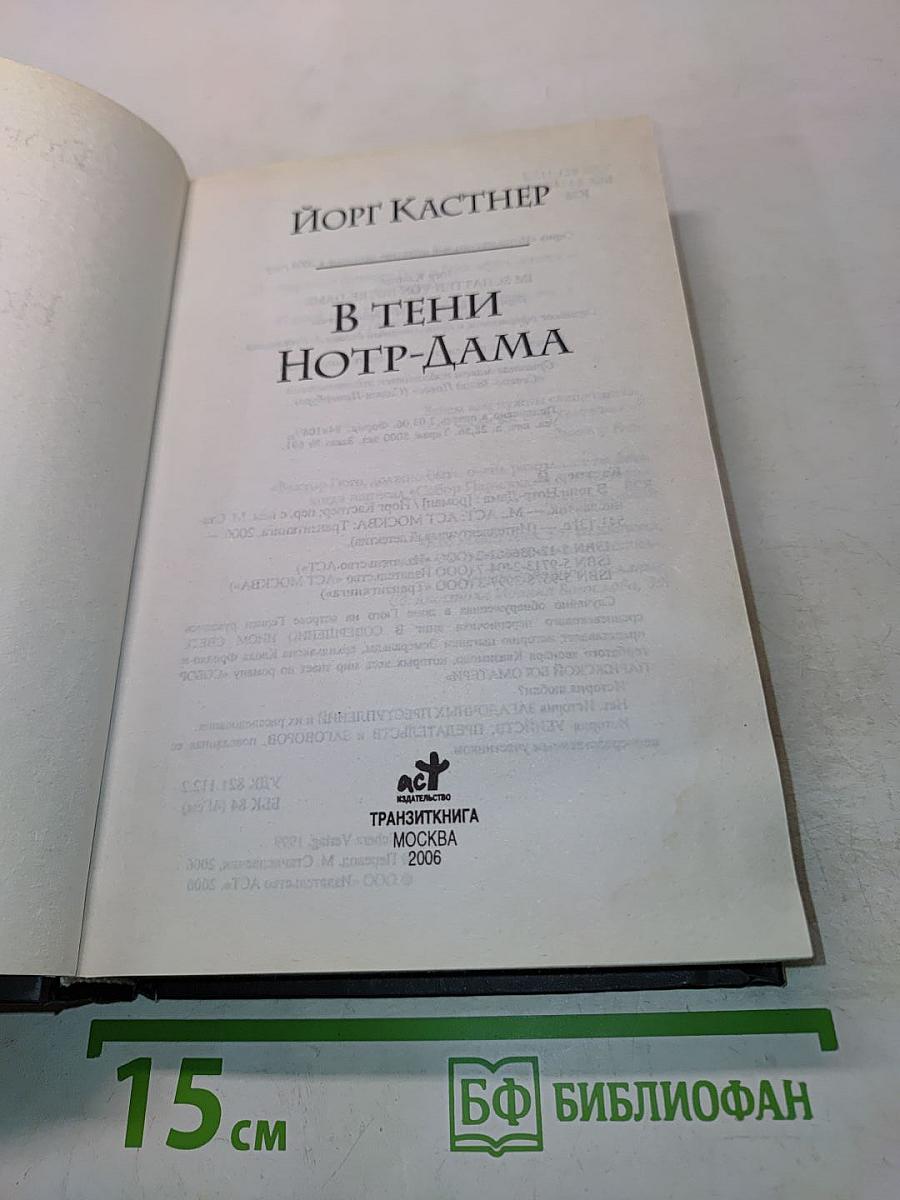В тени Нотр-Дама