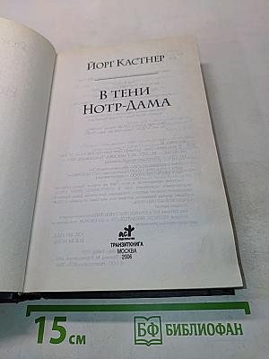 В тени Нотр-Дама