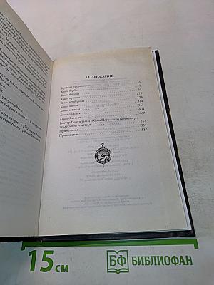 В тени Нотр-Дама