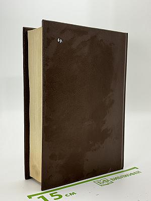 Кот привратника