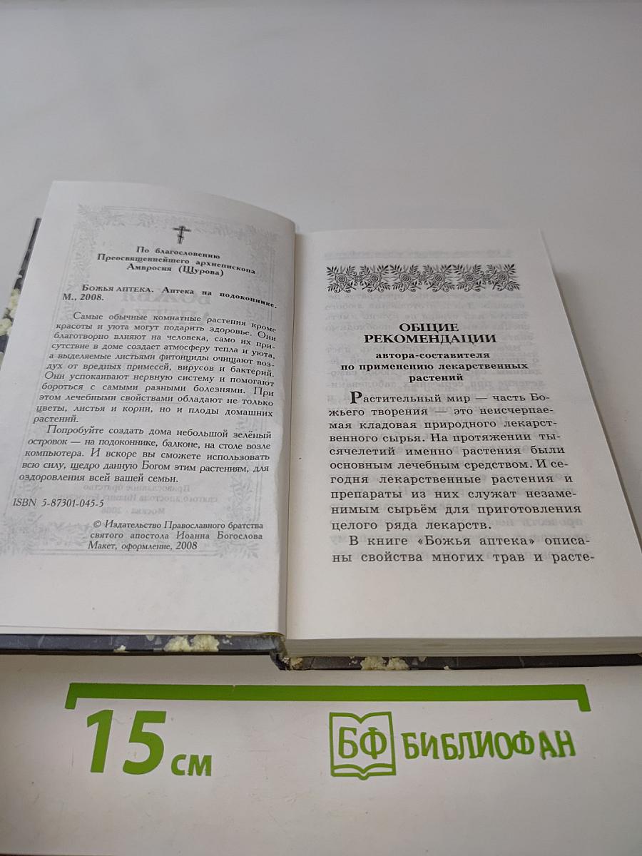 Божья аптека на подоконнике