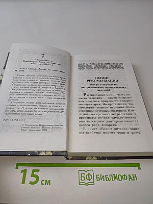 Божья аптека на подоконнике