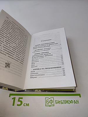 Божья аптека на подоконнике