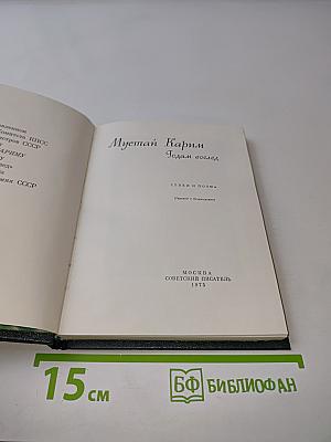 Годам вослед