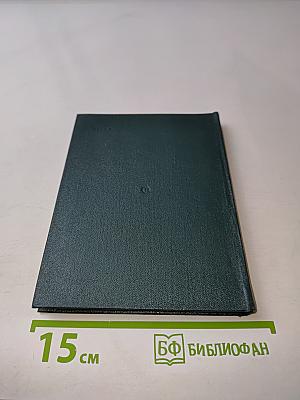 Годам вослед