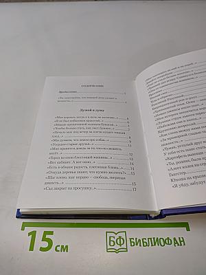 Пазлы