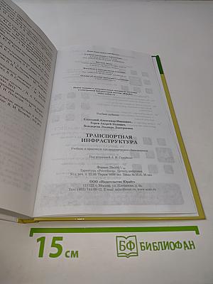 Транспортная инфраструктура: Учебник и практикум