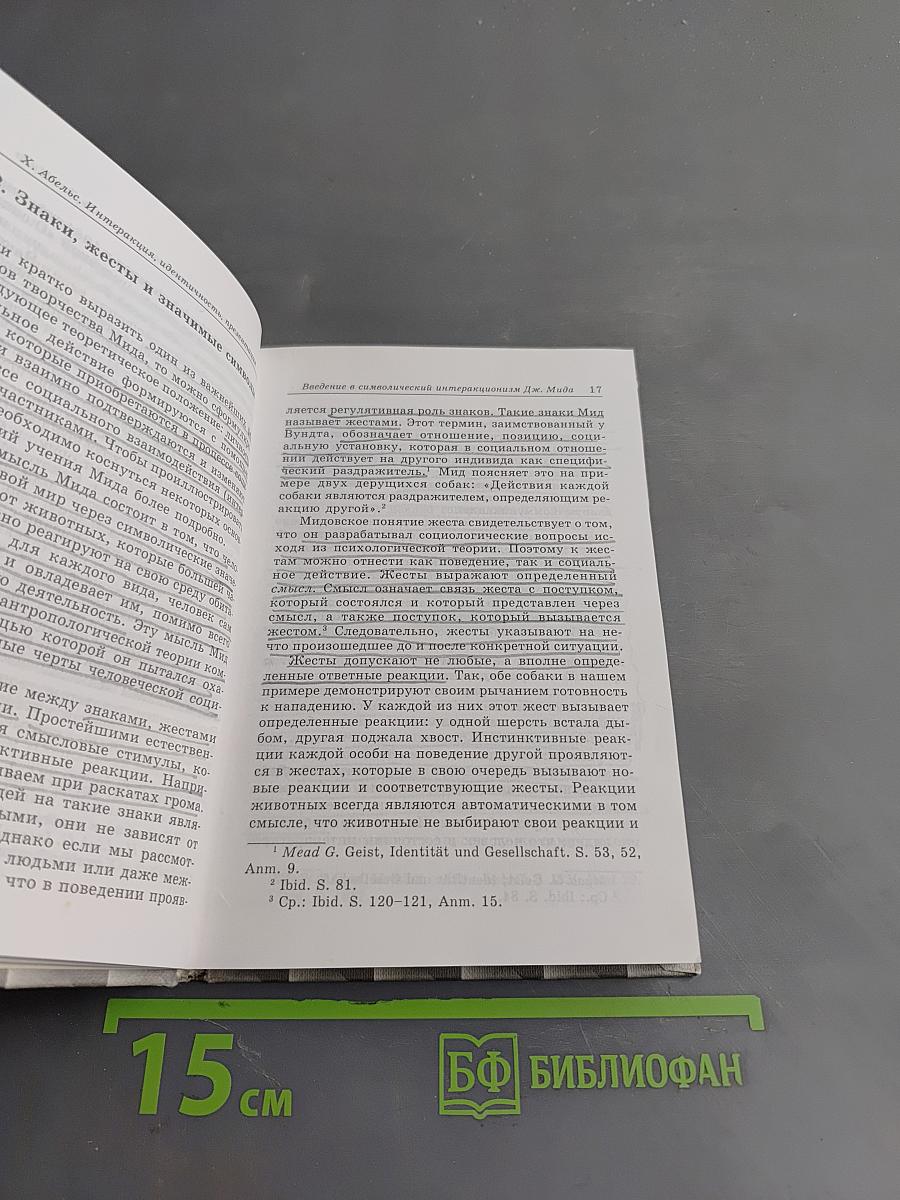 Интеракция, идентичность, презентация. Введение в интерпретативную социологию