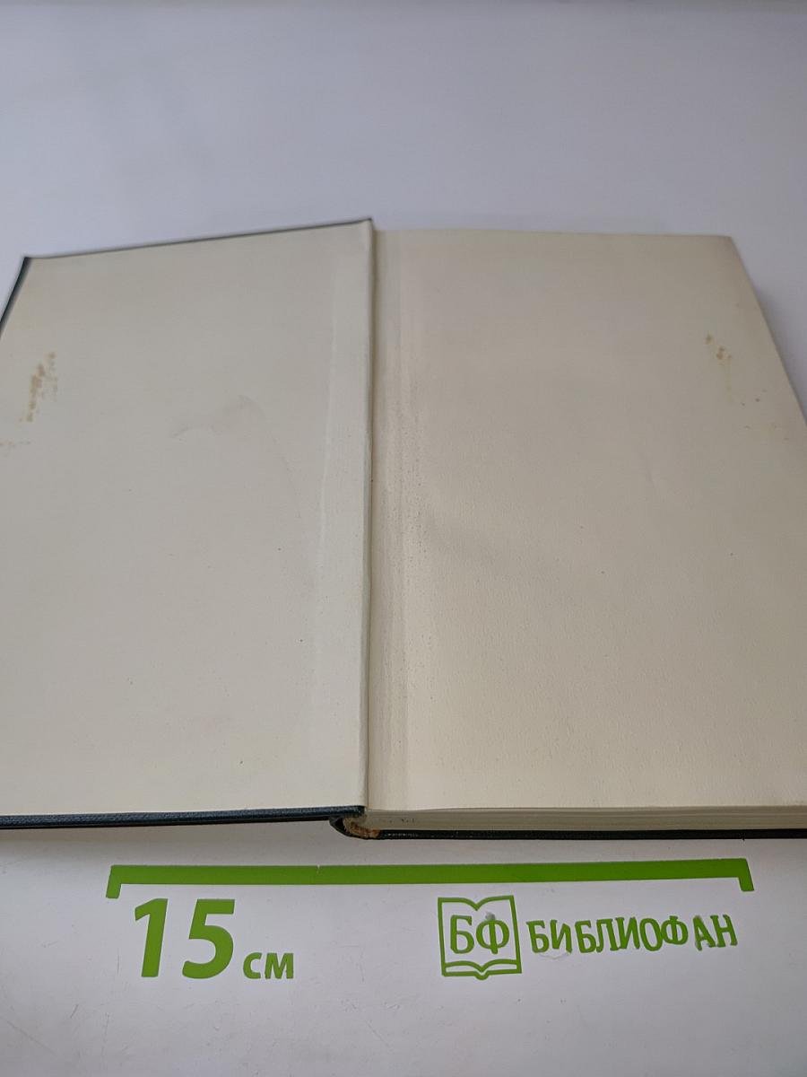 Стихотворения и поэмы в русских переводах. Том второй