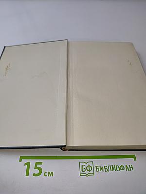Стихотворения и поэмы в русских переводах. Том второй