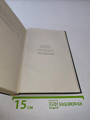 Стихотворения и поэмы в русских переводах. Том второй