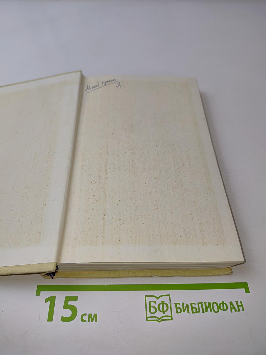 Четыре танкиста и собака. Повесть. Книга первая