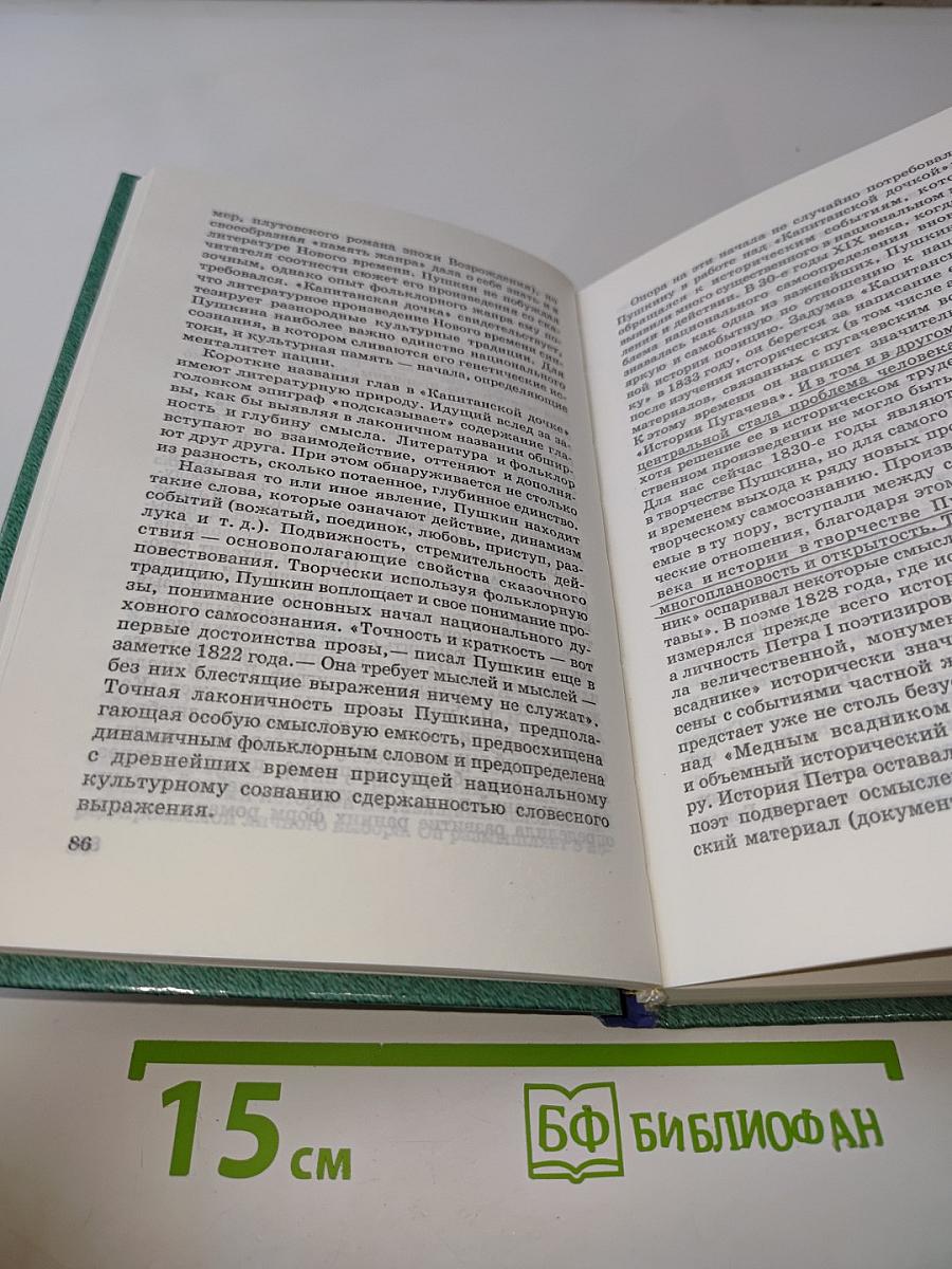 Русская литература. XIX век. От Крылова до Чехова