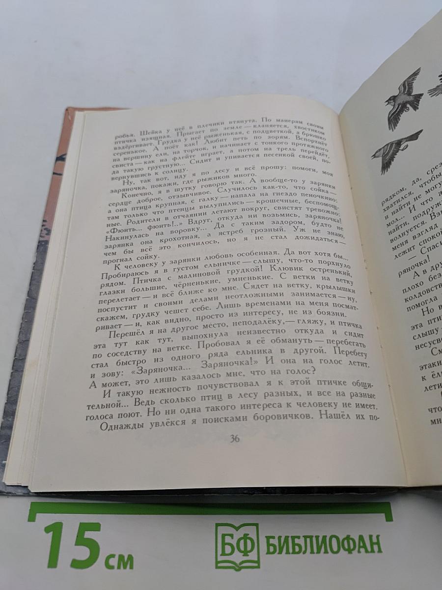 За сказкой – рассказ, за рассказом – сказка