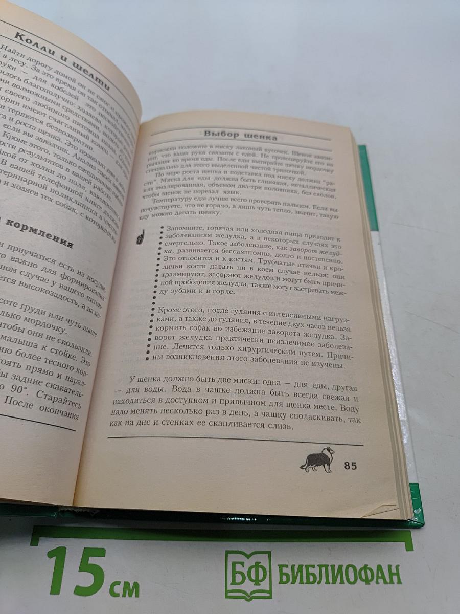 Колли и шелти