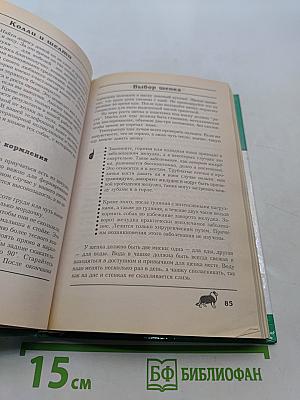 Колли и шелти