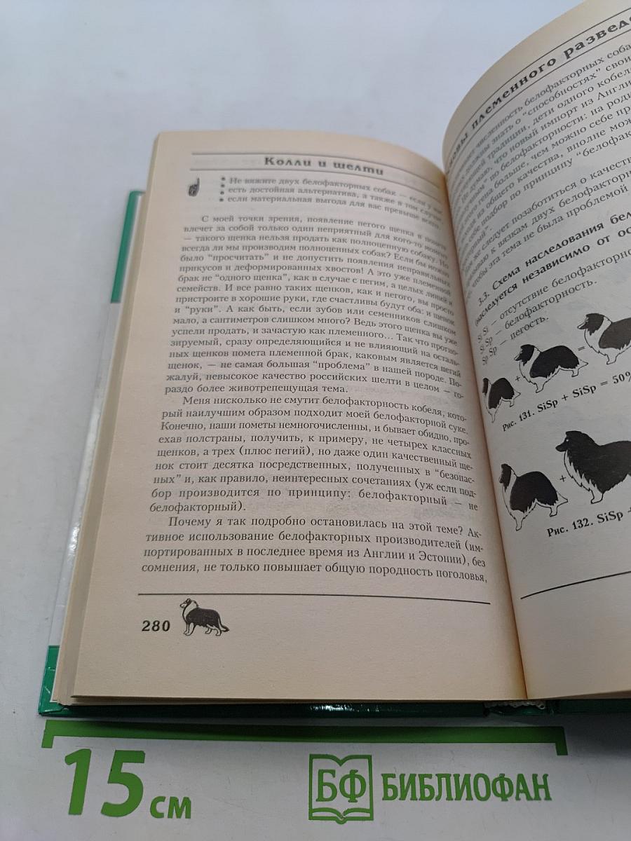 Колли и шелти