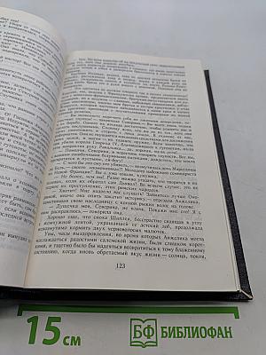 Анжелика. Заключительный роман. Книга II