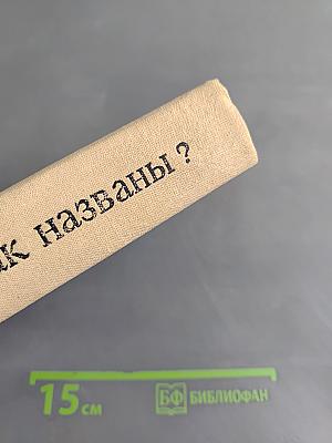 Почему так названы?