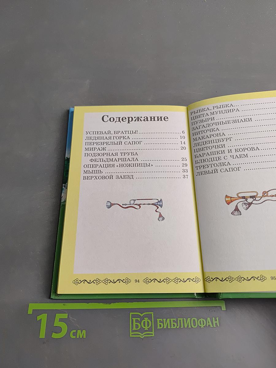 Подвиги фельдмаршала Пулькина
