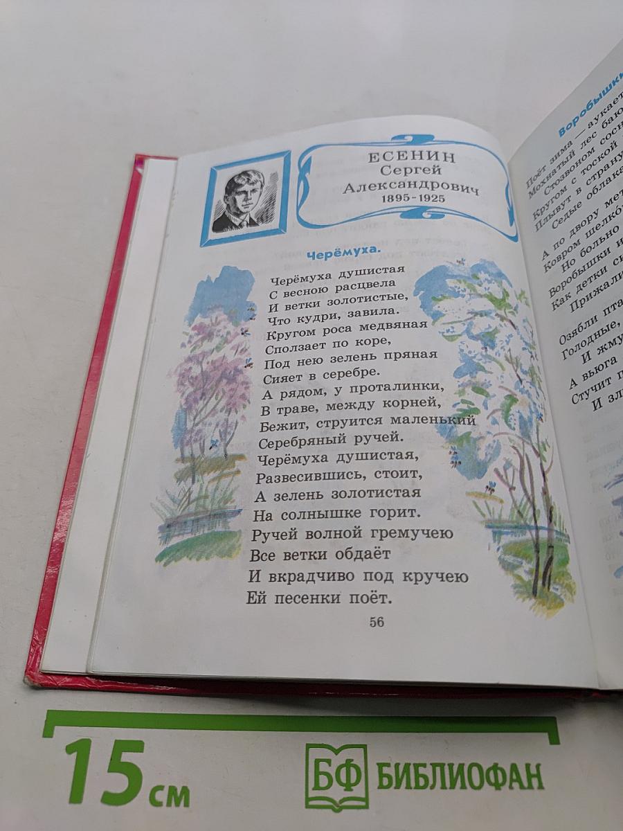 Родная речь. Учебник для учащихся начальной школы. В трёх книгах. Книга 2. Часть 2. Для 3 класса