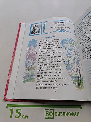 Родная речь. Учебник для учащихся начальной школы. В трёх книгах. Книга 2. Часть 2. Для 3 класса