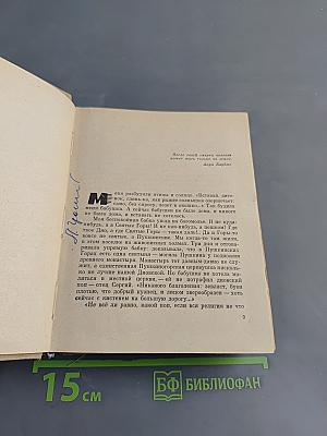 Чижик-птичка с характером