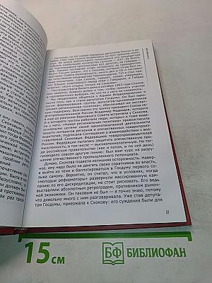 Противостояние. 20 лет в политике