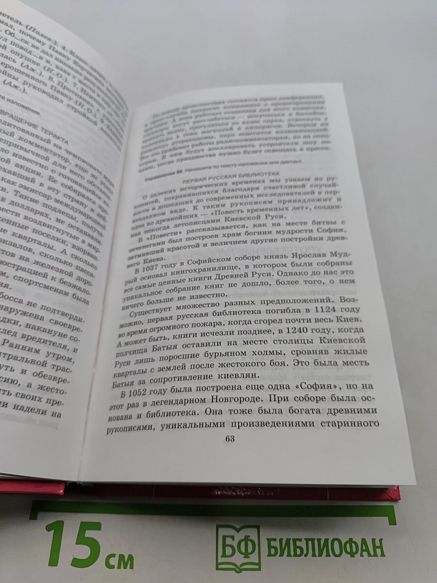 Русский язык. Орфография. Пунктуация. Домашний репетитор