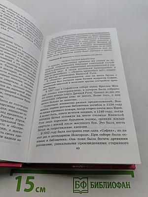 Русский язык. Орфография. Пунктуация. Домашний репетитор